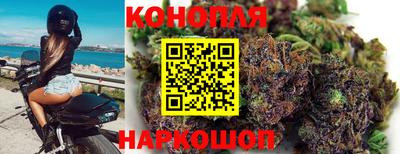 трава Абакан