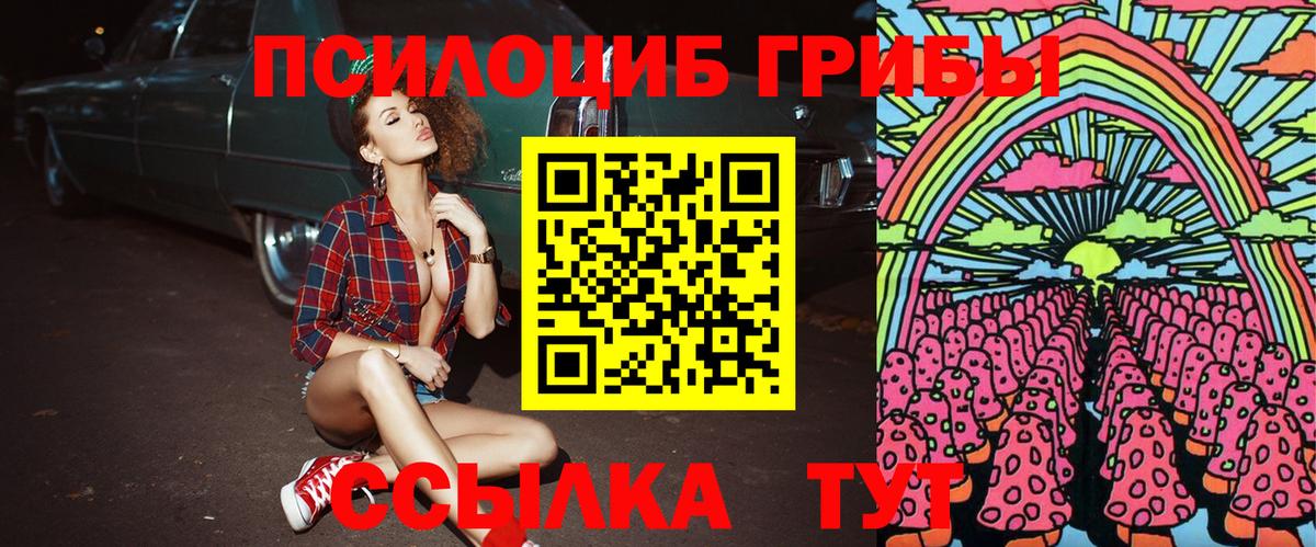 Псилоцибиновые грибы Cubensis Ангарск