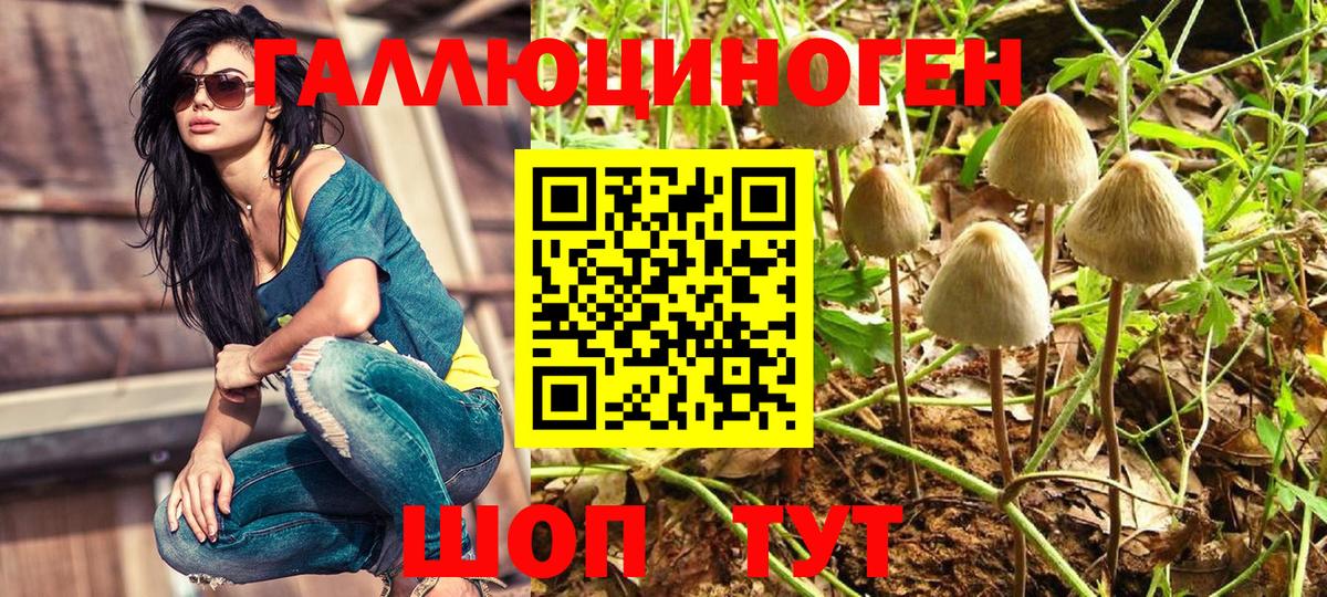 Галлюциногенные грибы ЛСД  Галлюциногенные грибы Magic Shrooms  Ангарск  Вход с VPN 